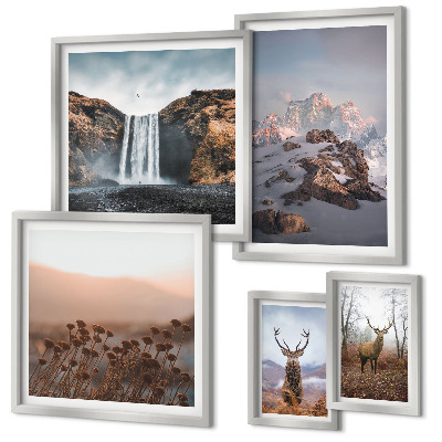 Gallery wall Mountain landscapes wild animals