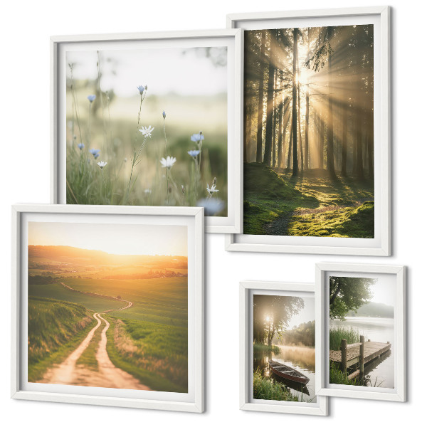 Gallery wall Forest landscapes sun water