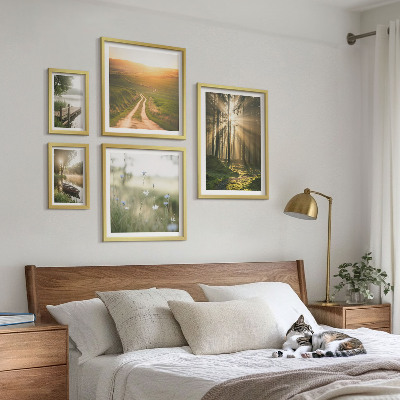 Gallery wall Forest landscapes sun water