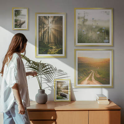 Gallery wall Forest landscapes sun water