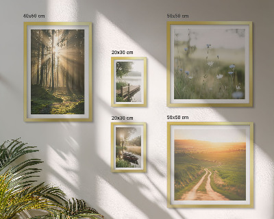 Gallery wall Forest landscapes sun water