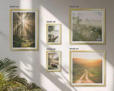 Gallery wall forest landscapes with sun and water
