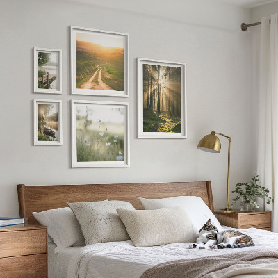 Gallery wall Forest landscapes sun water
