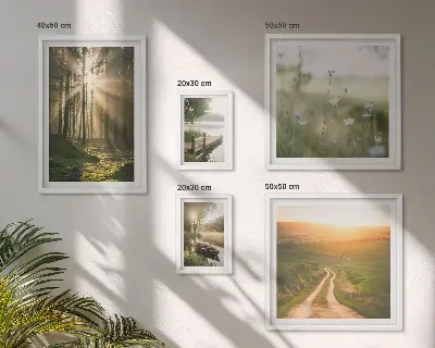 Gallery wall forest landscapes with sun and water