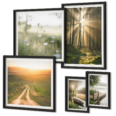 Gallery wall Forest landscapes sun water