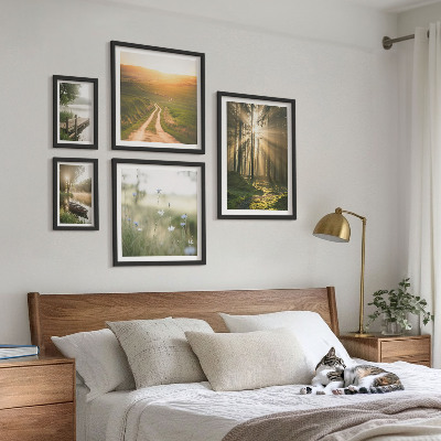Gallery wall Forest landscapes sun water