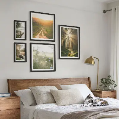 Gallery wall forest landscapes with sun and water