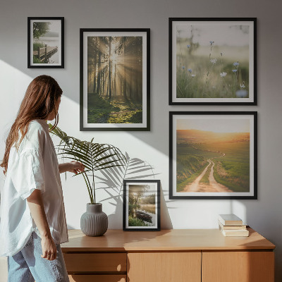 Gallery wall Forest landscapes sun water