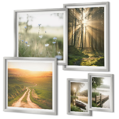 Gallery wall Forest landscapes sun water