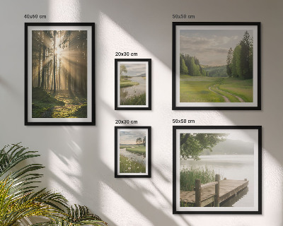 Set of 5 wall art pieces Forest landscapes sun water