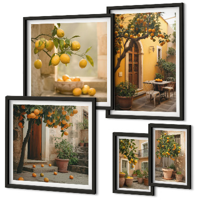 Framed photo set Citrus fruits in the garden