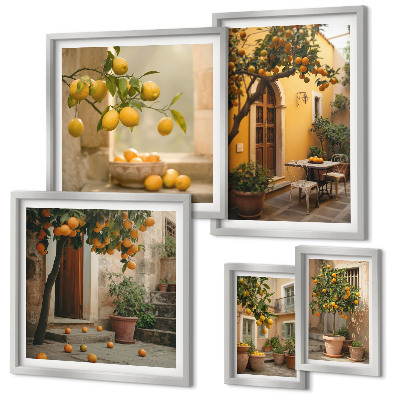 Framed photo set Citrus fruits in the garden