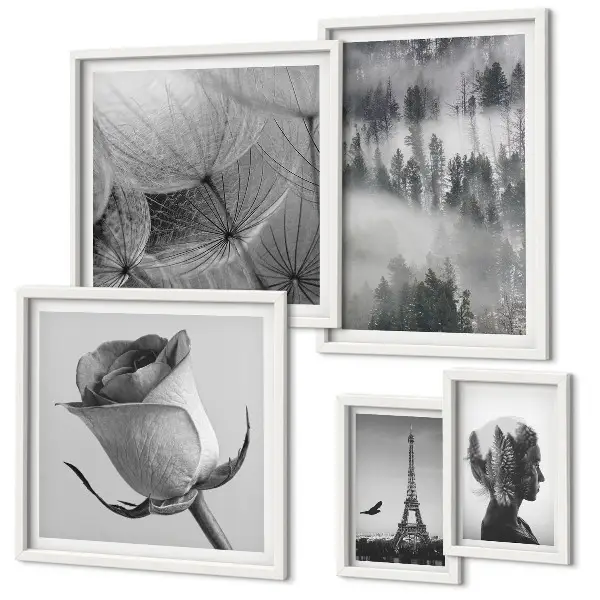 Gallery wall black and white nature and city scenes