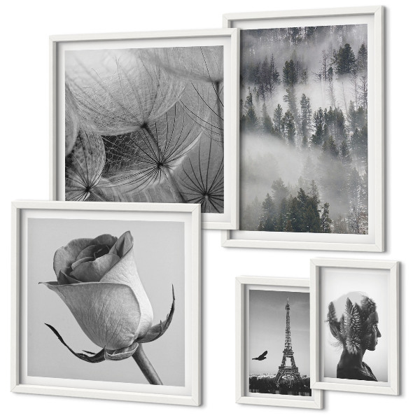 Gallery wall Black and white nature city