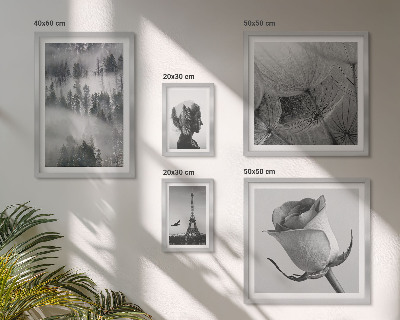 Gallery wall Black and white nature city