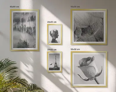 Gallery wall black and white nature and city scenes
