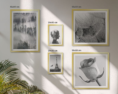 Gallery wall Black and white nature city