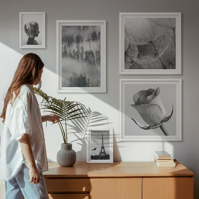 Gallery wall Black and white nature city