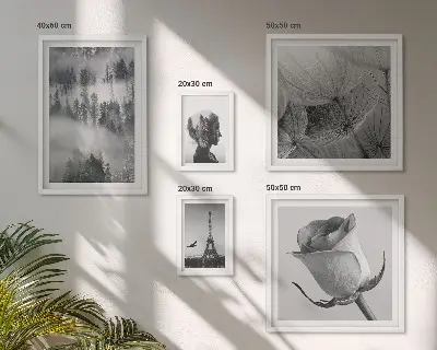 Gallery wall black and white nature and city scenes