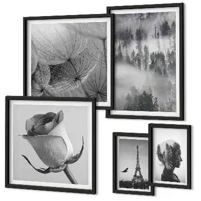 Gallery wall black and white nature and city scenes