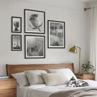 Gallery wall black and white nature and city scenes