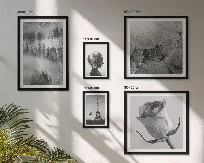 Gallery wall black and white nature and city scenes
