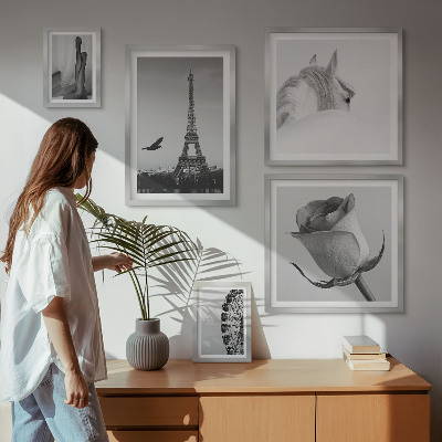 Set of 5 wall art pieces Stylish black and white images