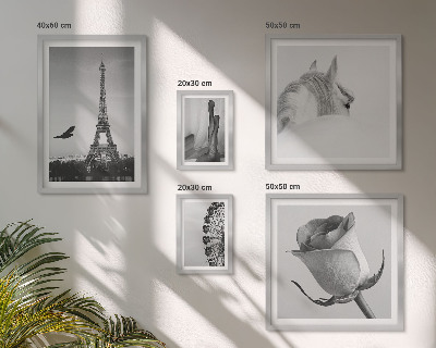 Set of 5 wall art pieces Stylish black and white images