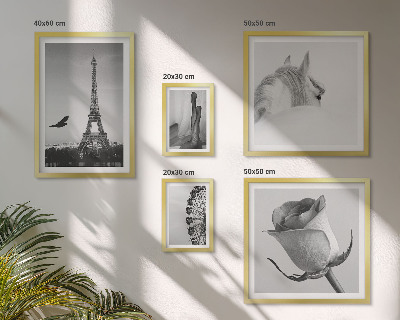 Set of 5 wall art pieces Stylish black and white images