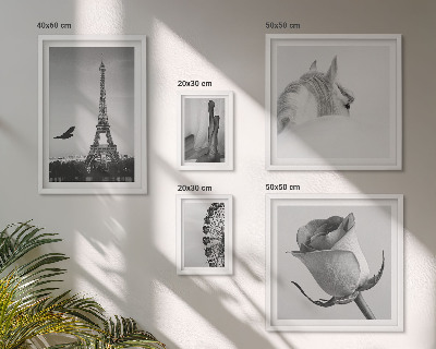 Set of 5 wall art pieces Stylish black and white images