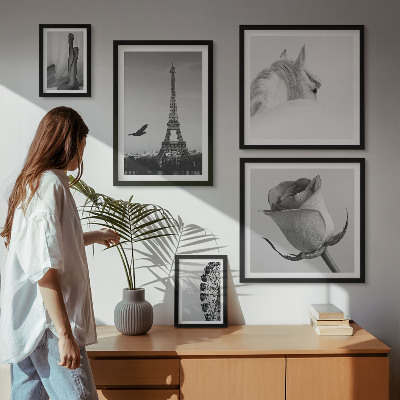 Set of 5 wall art pieces Stylish black and white images