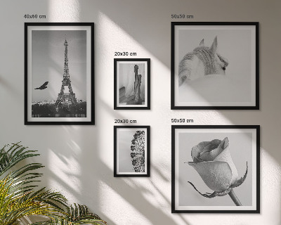 Set of 5 wall art pieces Stylish black and white images