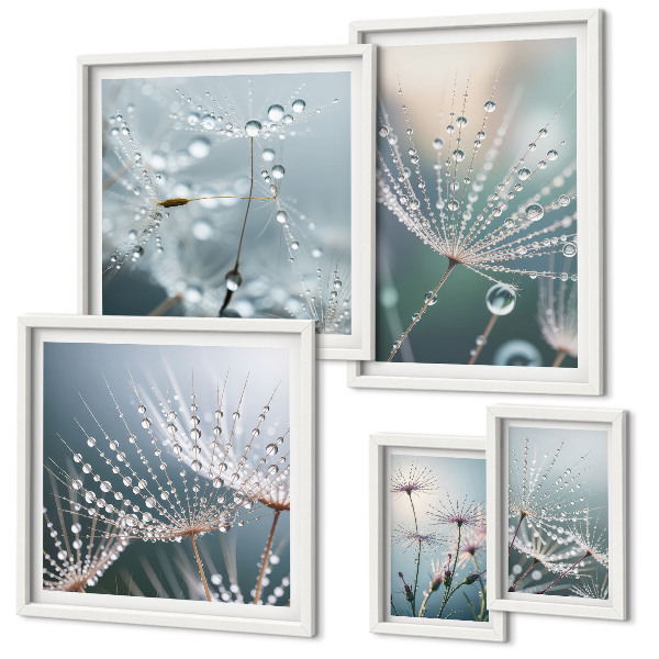Framed photo set Dewdrops minimalist plants