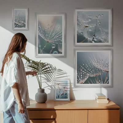 Framed photo set Dewdrops minimalist plants