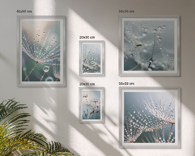 Framed photo set Dewdrops minimalist plants