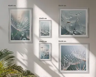 Dewdrops minimalist plants framed photo set