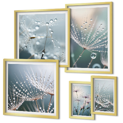 Framed photo set Dewdrops minimalist plants