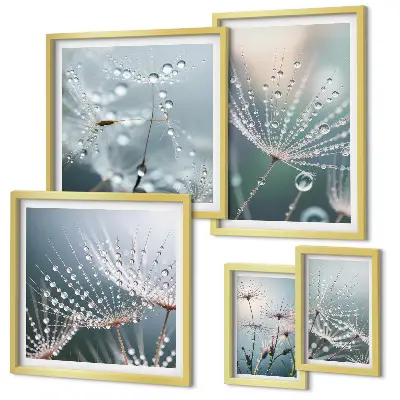 Dewdrops minimalist plants framed photo set
