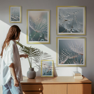 Framed photo set Dewdrops minimalist plants