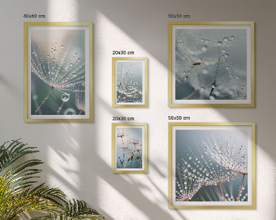 Framed photo set Dewdrops minimalist plants