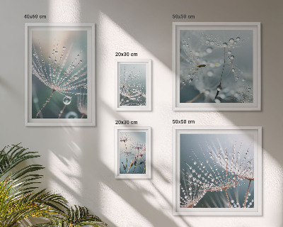Framed photo set Dewdrops minimalist plants