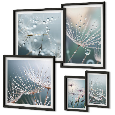 Framed photo set Dewdrops minimalist plants