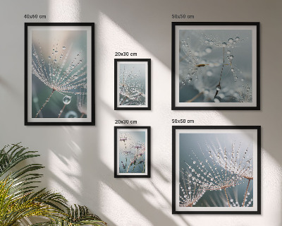 Framed photo set Dewdrops minimalist plants