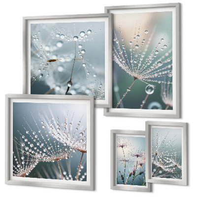 Framed photo set Dewdrops minimalist plants