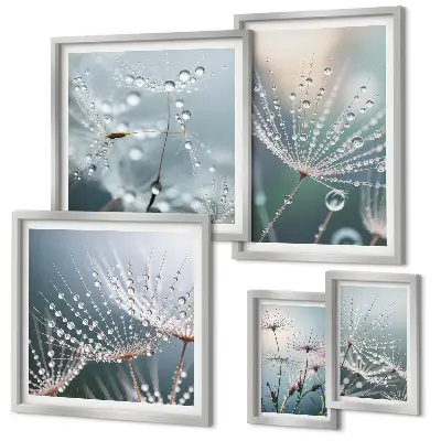 Dewdrops minimalist plants framed photo set