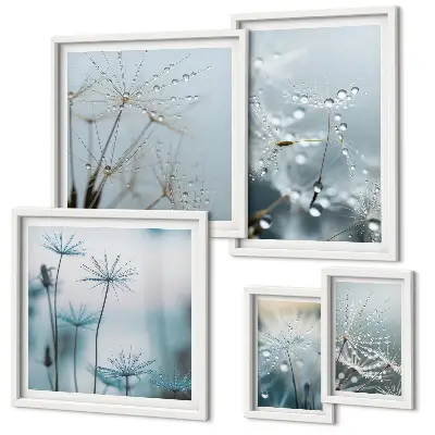 5-Piece Wall Art Set plant motifs with water drops