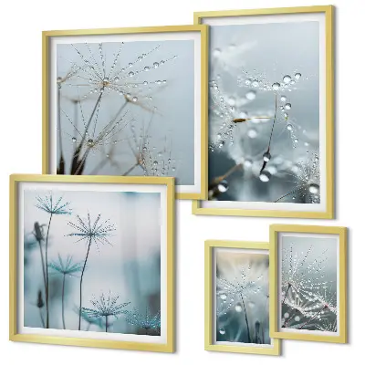 5-Piece Wall Art Set plant motifs with water drops