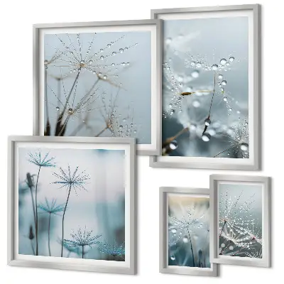 5-Piece Wall Art Set plant motifs with water drops