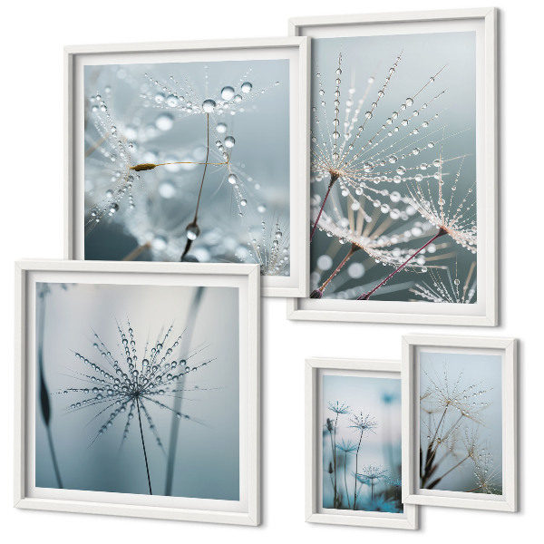 Gallery wall Water drops on plants
