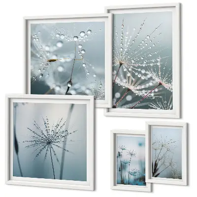 Water drops on plants gallery wall art print